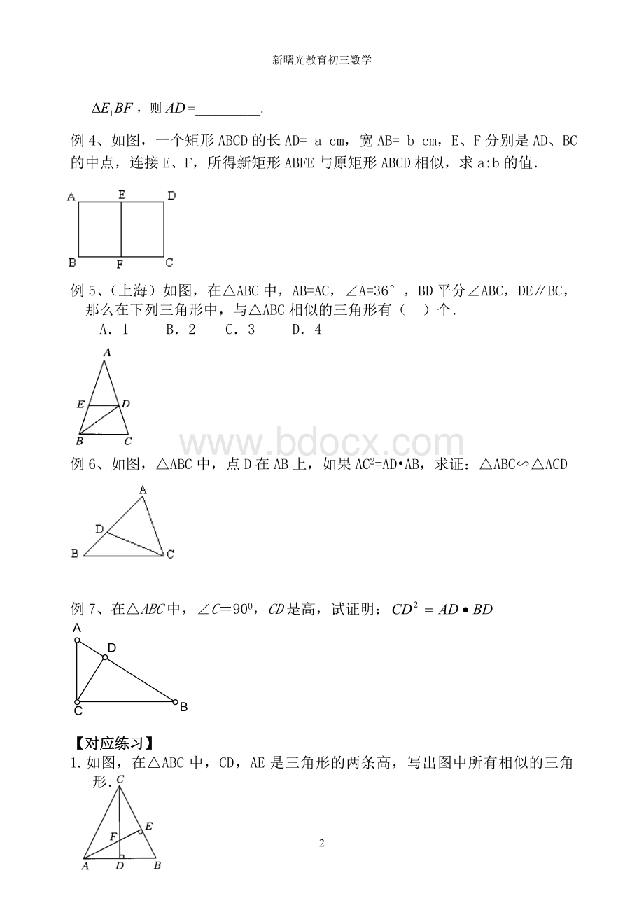 初三数学总复习图形的相似.doc_第2页