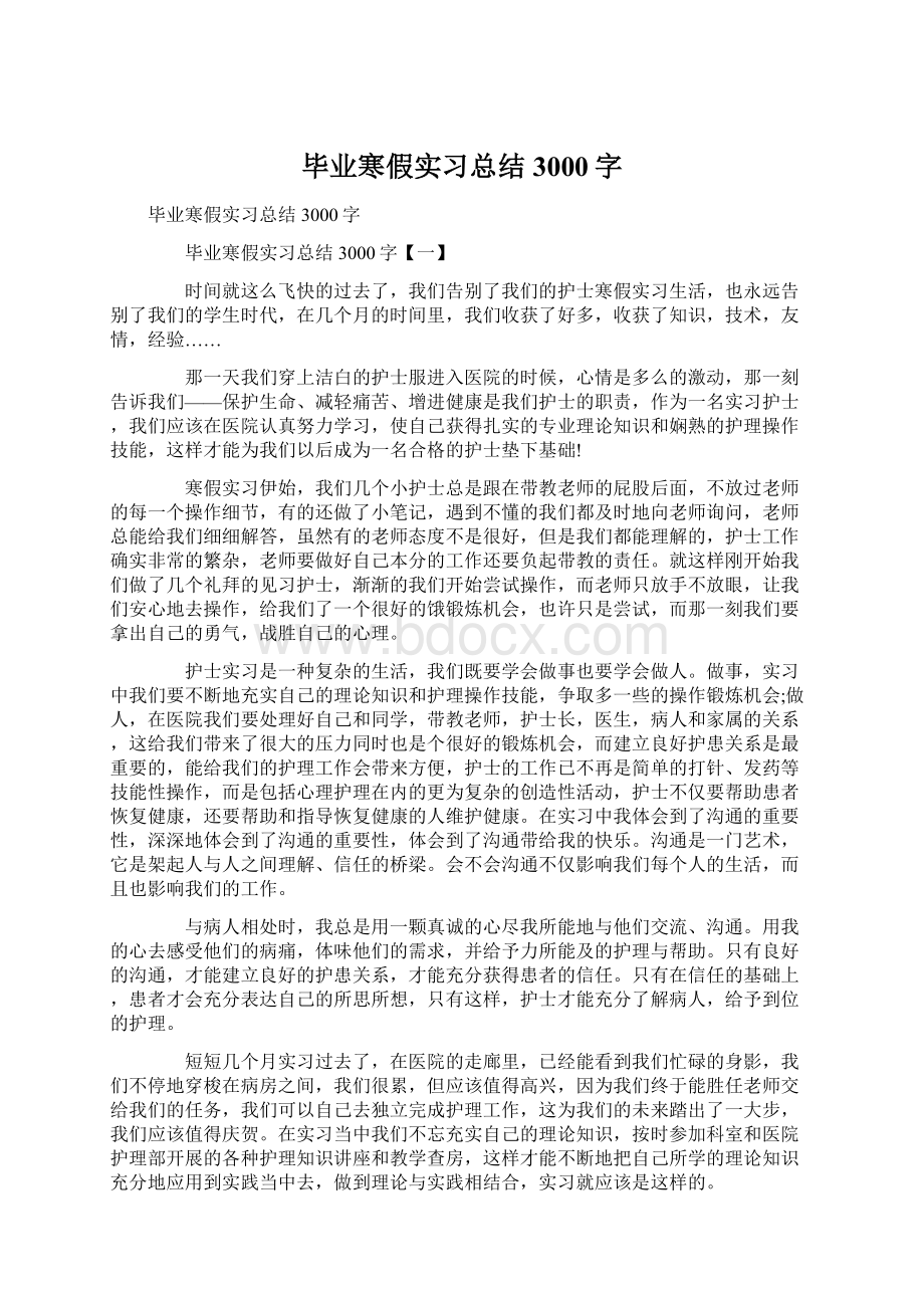 毕业寒假实习总结3000字文档格式.docx