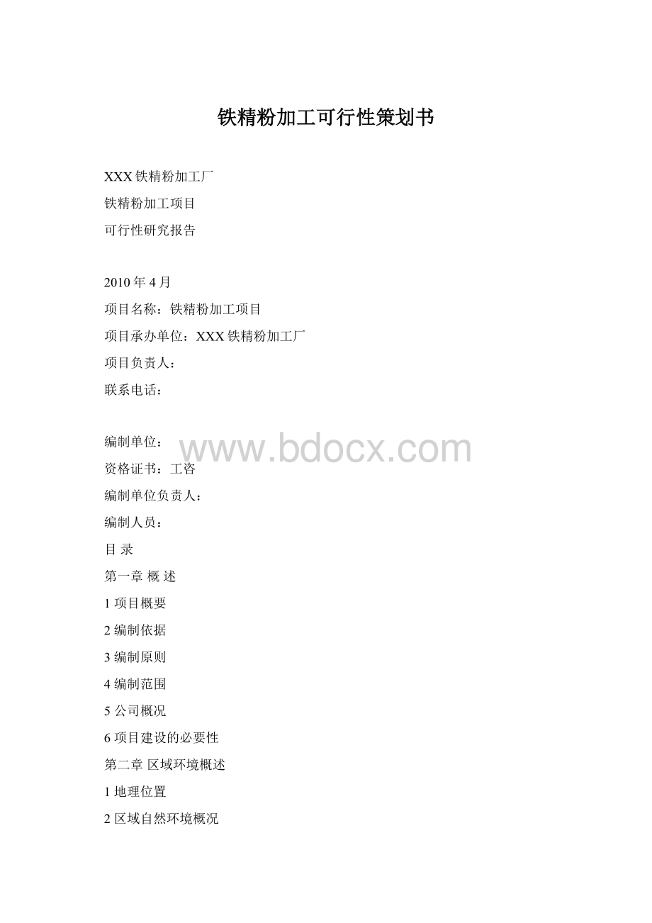 铁精粉加工可行性策划书.docx_第1页