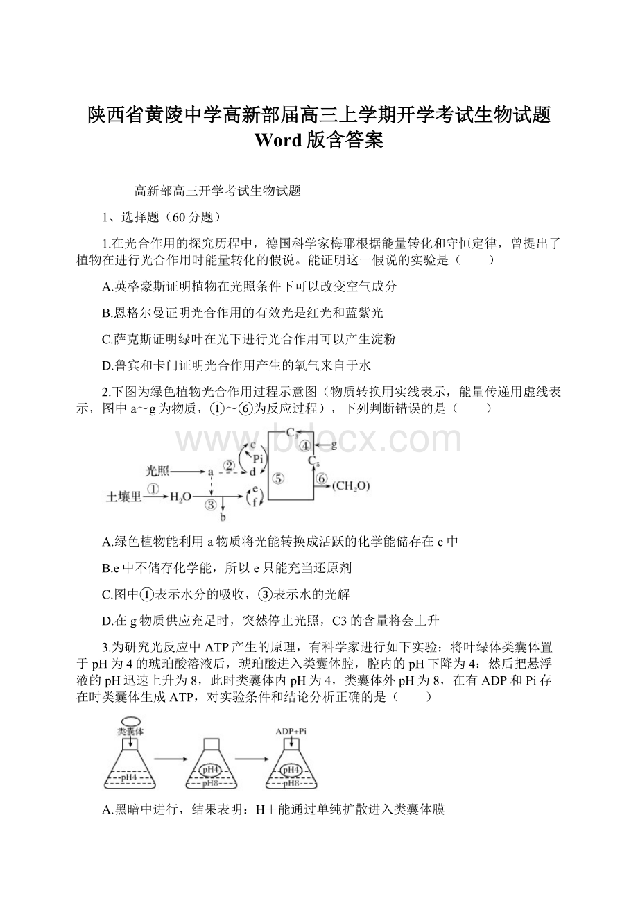 陕西省黄陵中学高新部届高三上学期开学考试生物试题 Word版含答案文档格式.docx