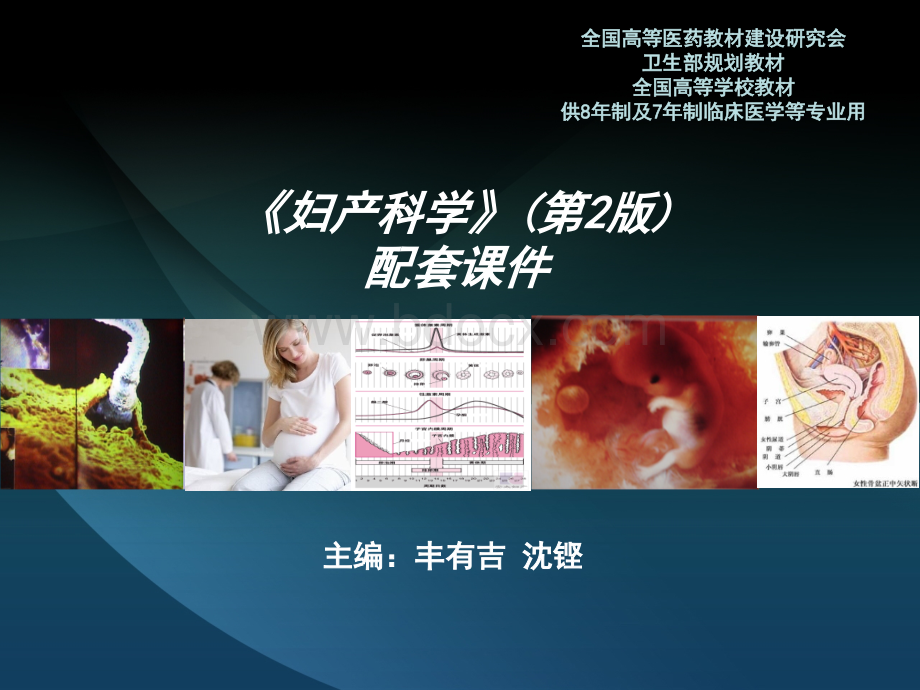 八年制10章.ppt_第1页