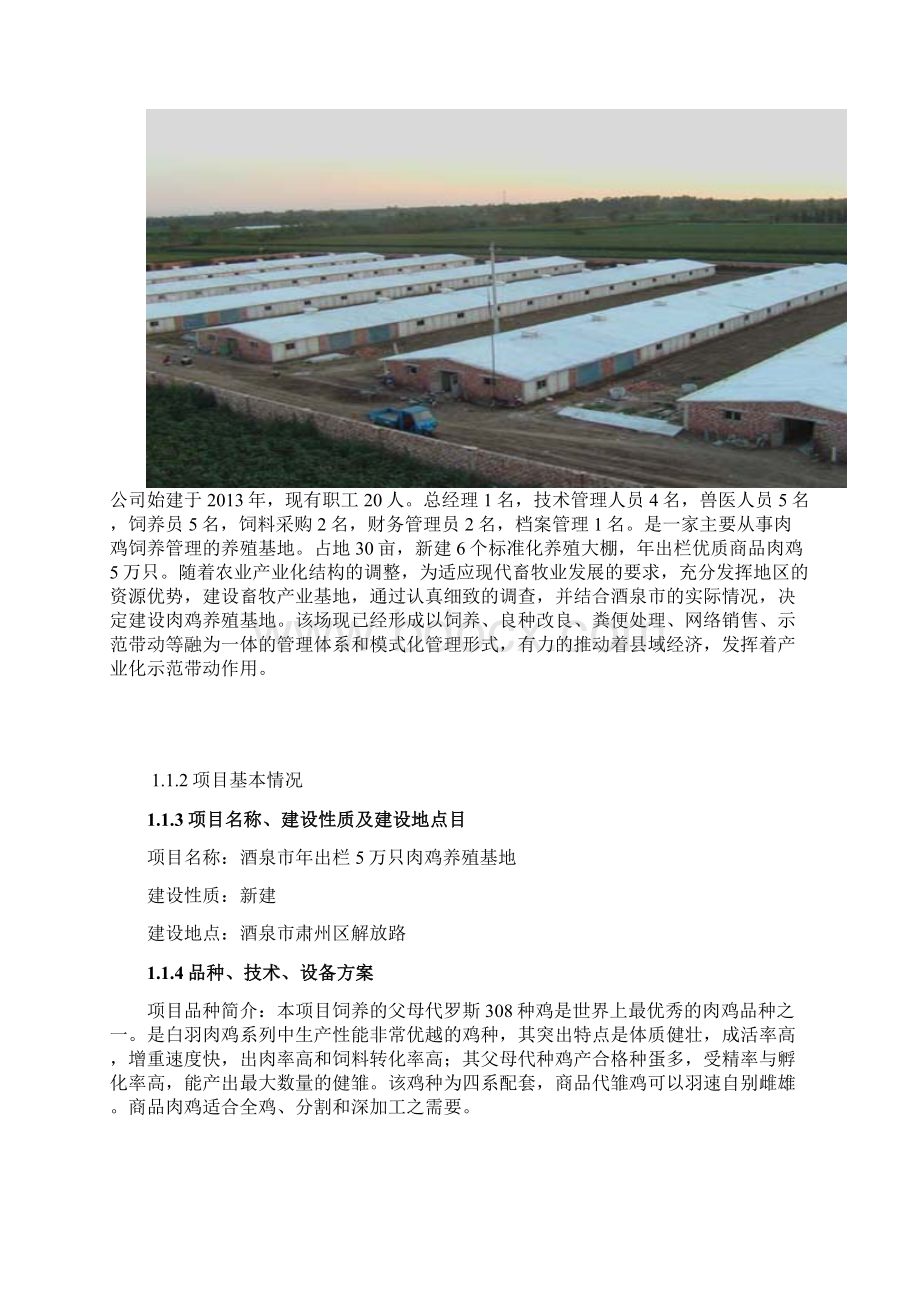 5万只肉鸡养殖基地项目可行性研究报告书.docx_第2页