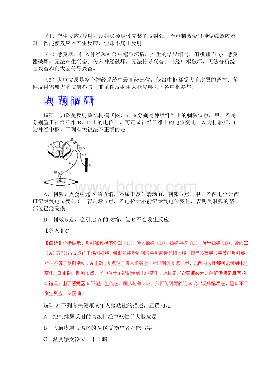 届二轮复习 通过神经系统的调节 教案全国通用Word下载.docx_第3页