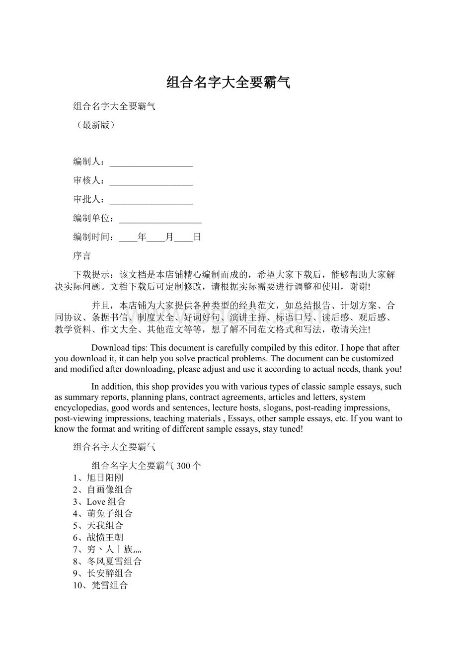 组合名字大全要霸气Word文档下载推荐.docx