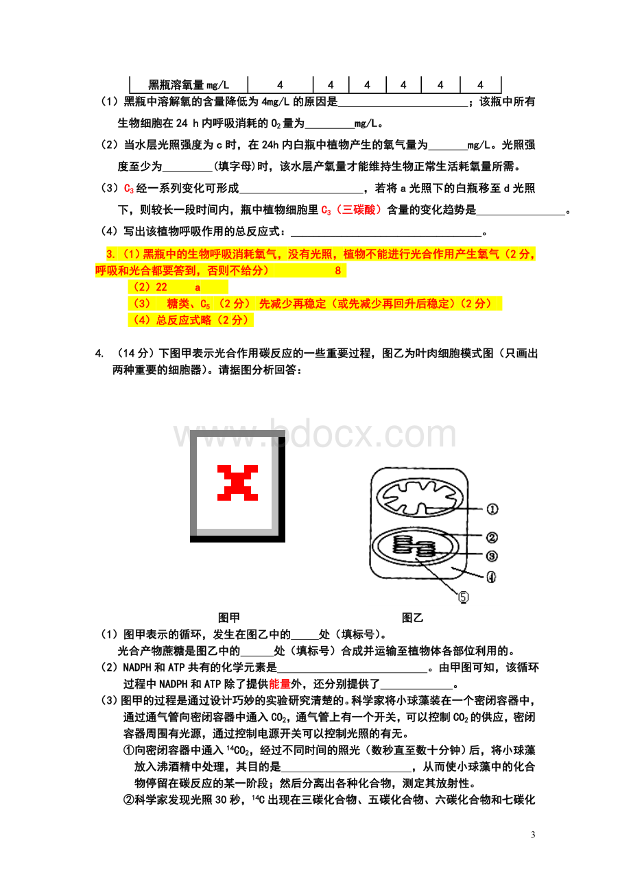 生物必修一光合作用试题精选(附答案)Word文档下载推荐.doc_第3页