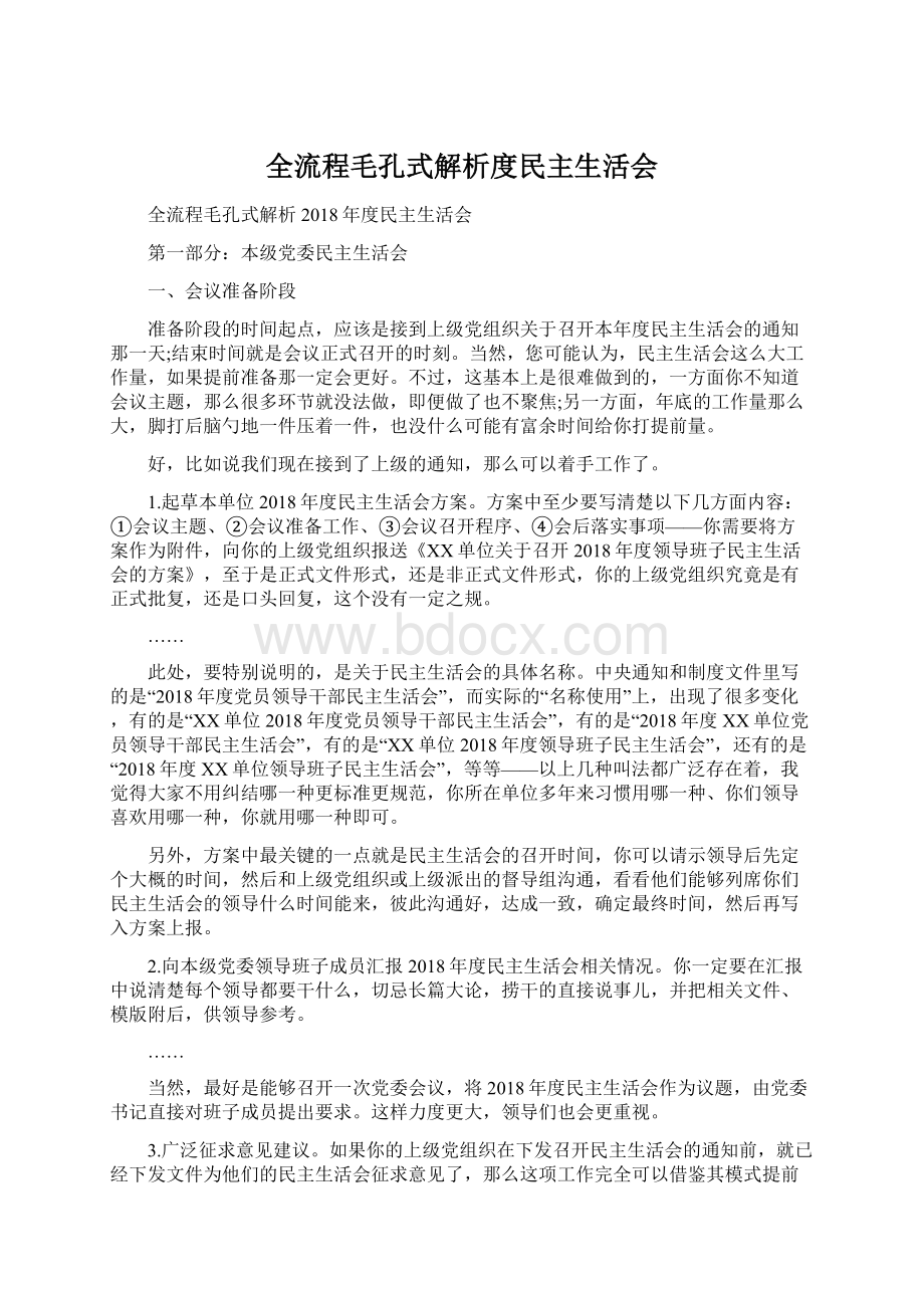 全流程毛孔式解析度民主生活会.docx