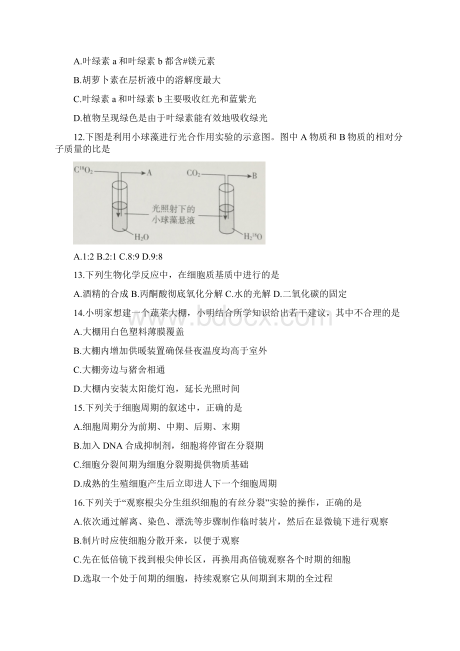 北京市海淀区学年第一学期期末考试高二生物试题含详细答案Word文档下载推荐.docx_第3页