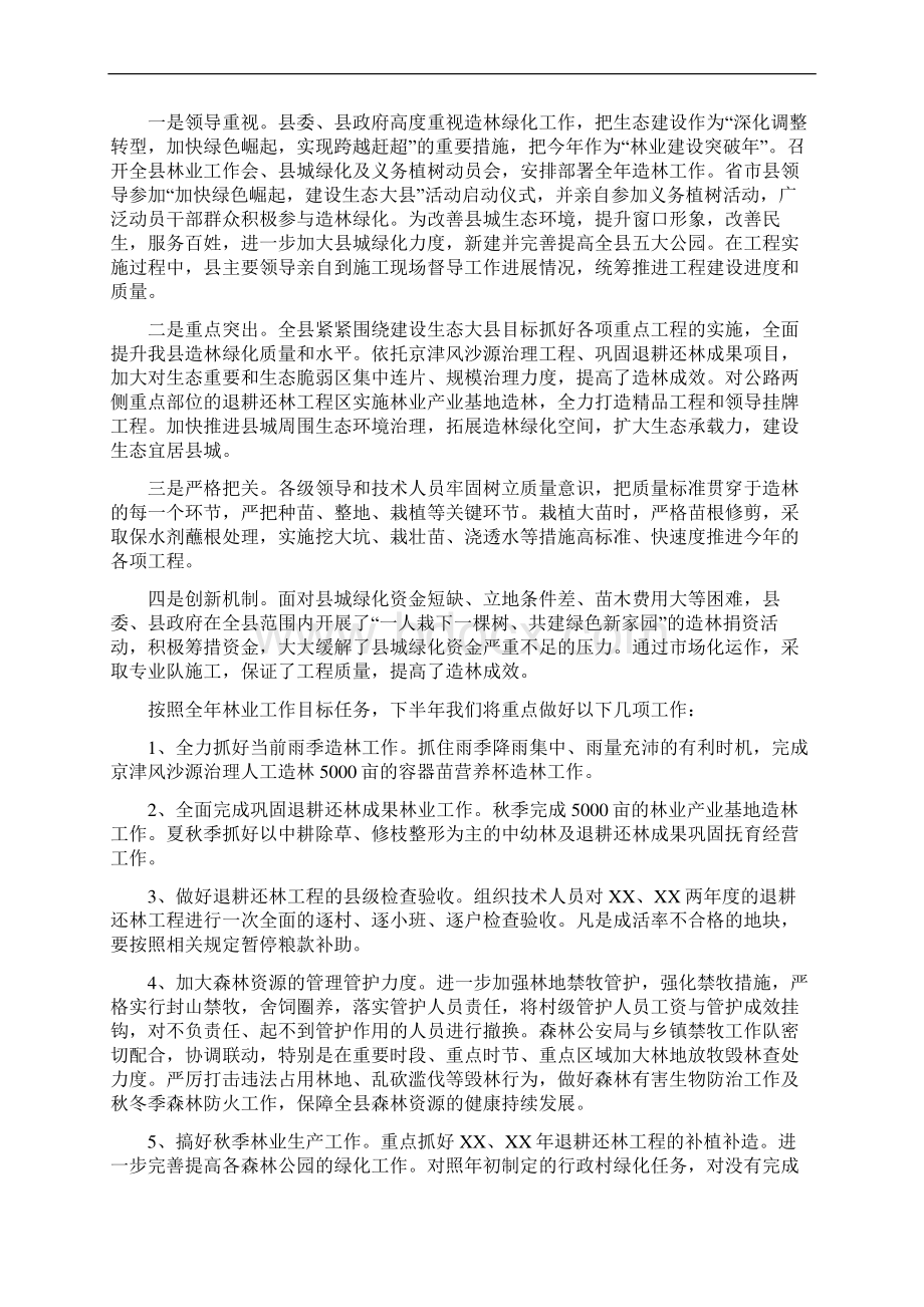 林业工作总结多篇Word格式文档下载.docx_第2页