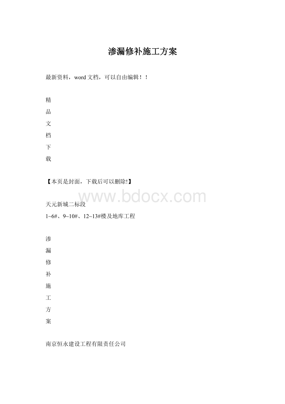 渗漏修补施工方案.docx_第1页