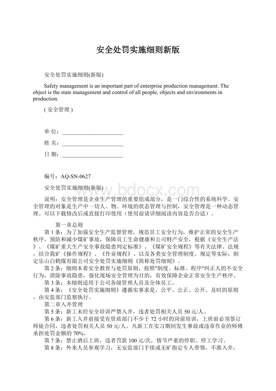 安全处罚实施细则新版.docx