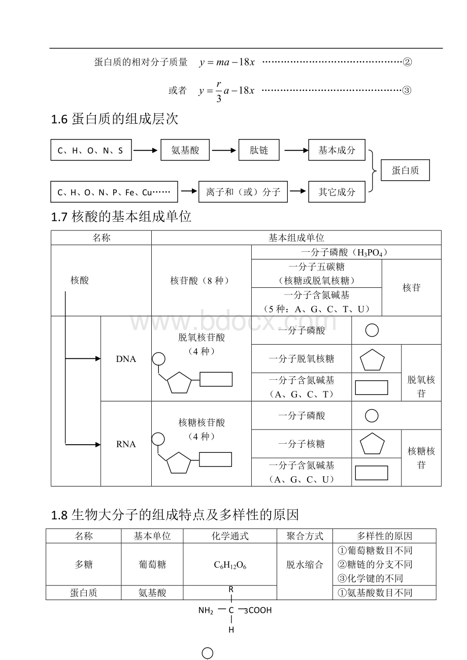 高中生物知识结构网络图(完整版).doc_第3页