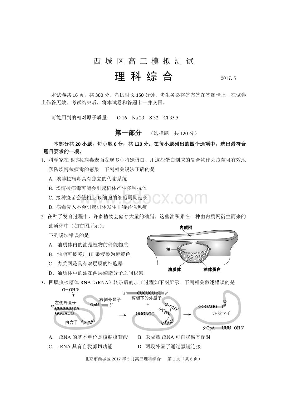 北京市西城高三理综生物二模试题及答案.doc_第1页