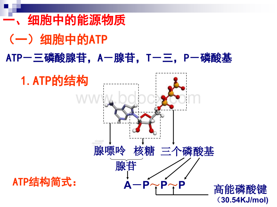 必修一细胞代谢复习课件.ppt_第2页