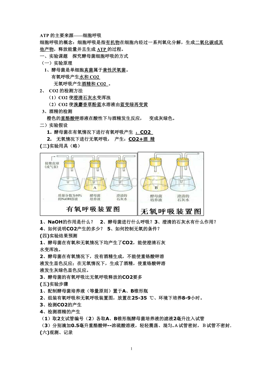 光合作用和呼吸作用知识点总结.doc