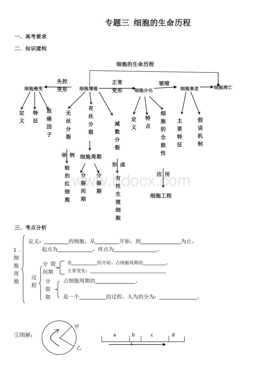 高三生物二轮复习专题三.doc