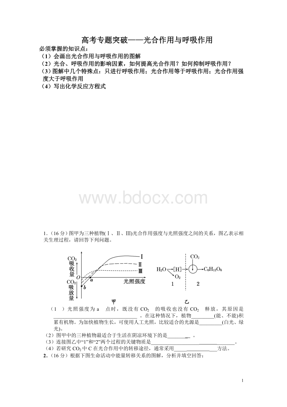 高二生物复习光合作用与呼吸作用(高考必考点)Word下载.doc