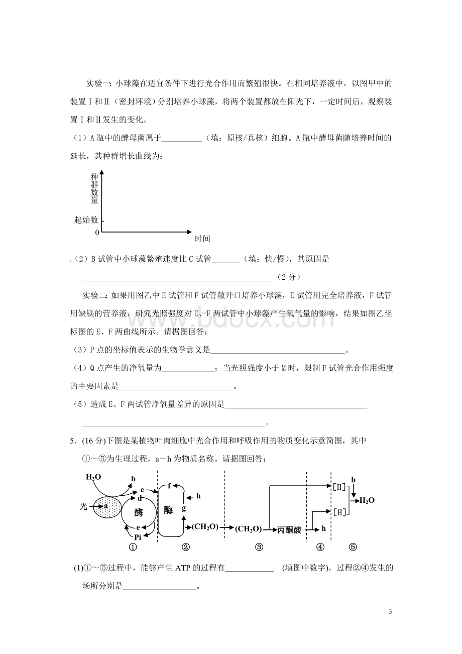 高二生物复习光合作用与呼吸作用(高考必考点).doc_第3页