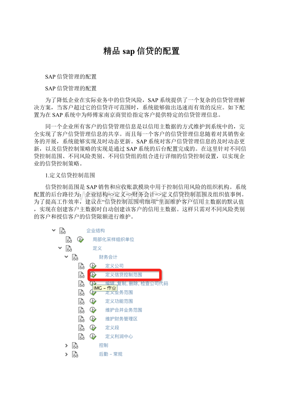 精品sap信贷的配置.docx