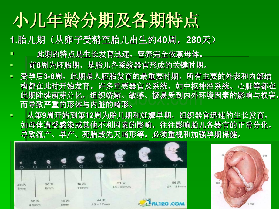 小儿发育特点PPT推荐.ppt_第2页