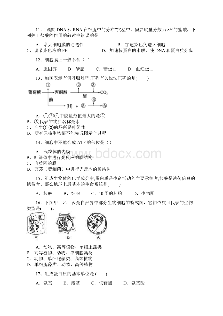 河南省兰考县第二高级中学学年高二下学期期末考试生物试题.docx_第3页