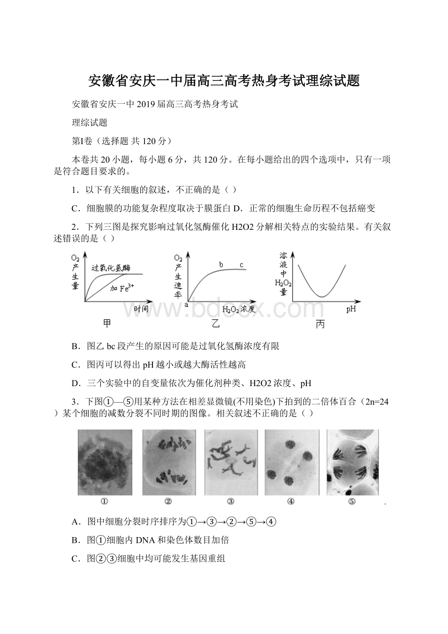 安徽省安庆一中届高三高考热身考试理综试题Word文件下载.docx