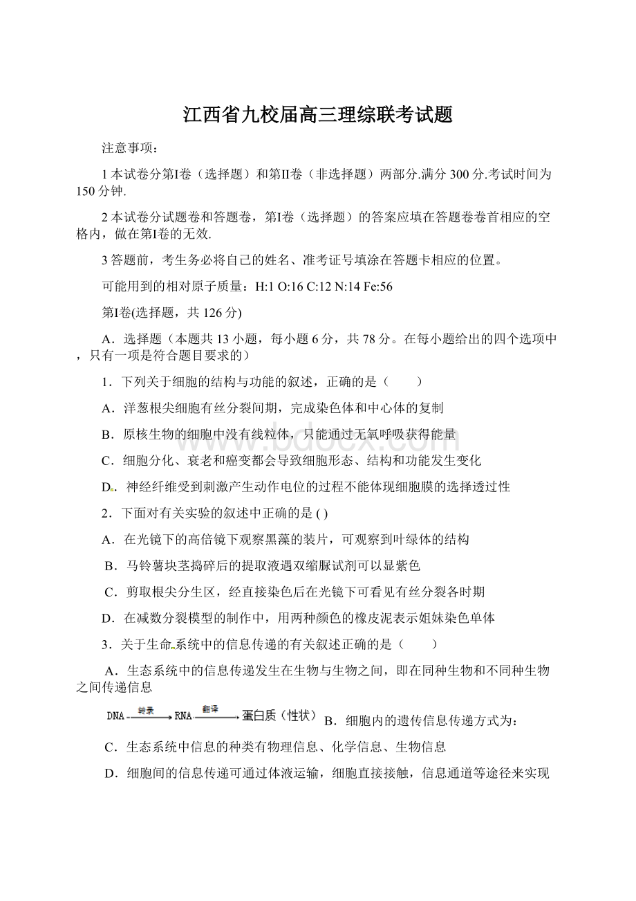 江西省九校届高三理综联考试题Word下载.docx