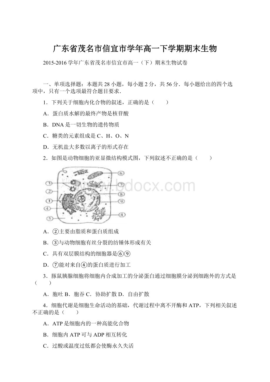 广东省茂名市信宜市学年高一下学期期末生物.docx_第1页