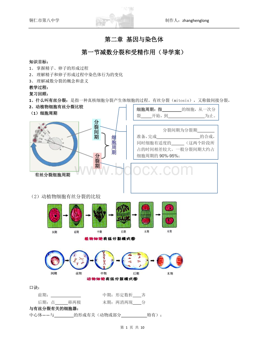 第一节减数分裂和受精作用(导学案)Word格式文档下载.docx_第1页