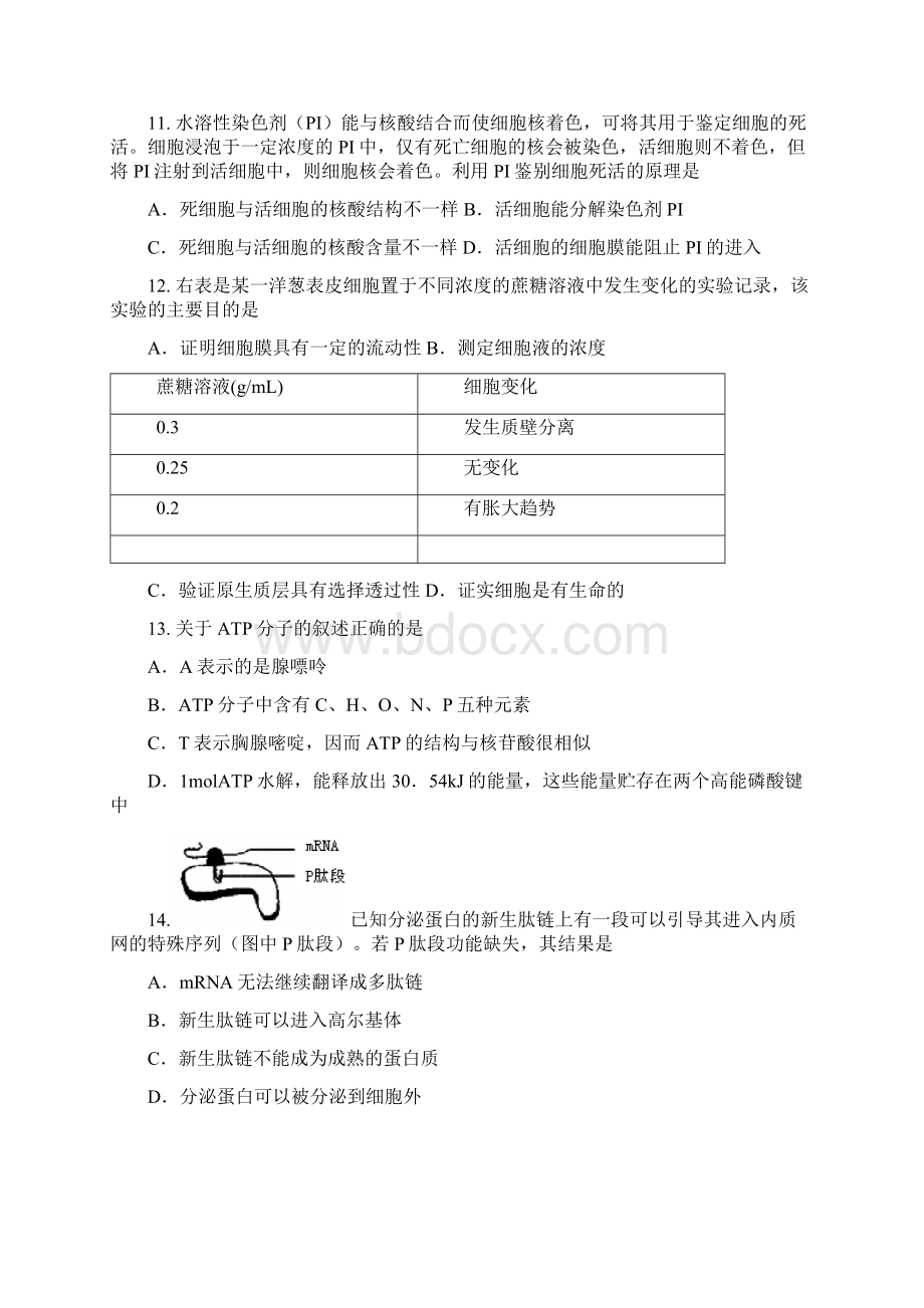 高三上学期生物第三次月考试题含答案Word下载.docx_第3页