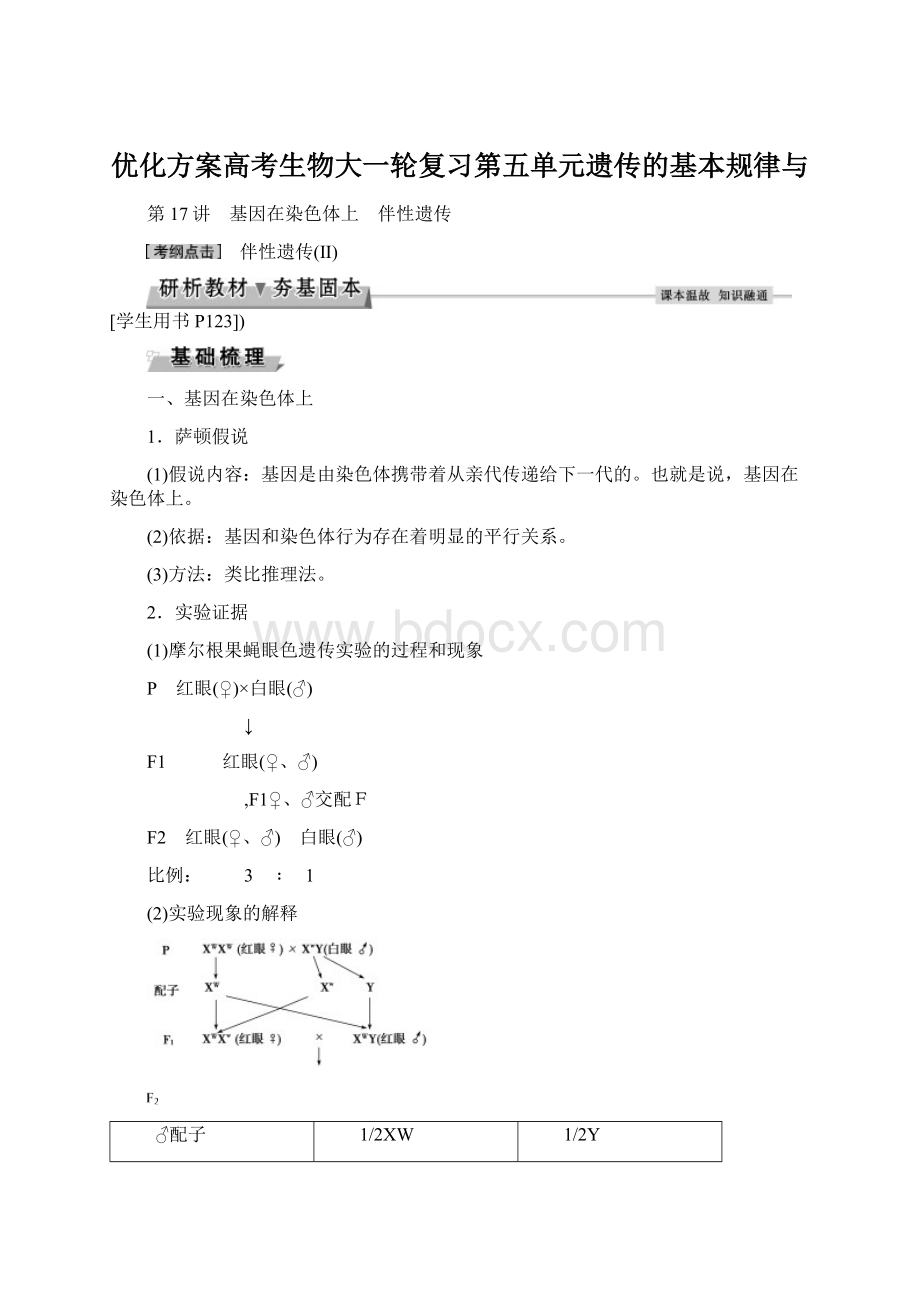 优化方案高考生物大一轮复习第五单元遗传的基本规律与Word文档下载推荐.docx