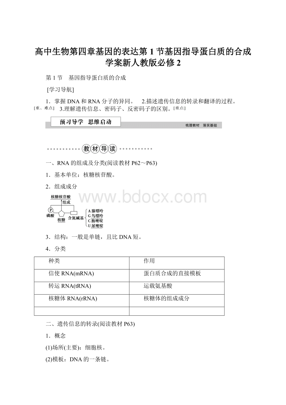 高中生物第四章基因的表达第1节基因指导蛋白质的合成学案新人教版必修2Word格式文档下载.docx_第1页