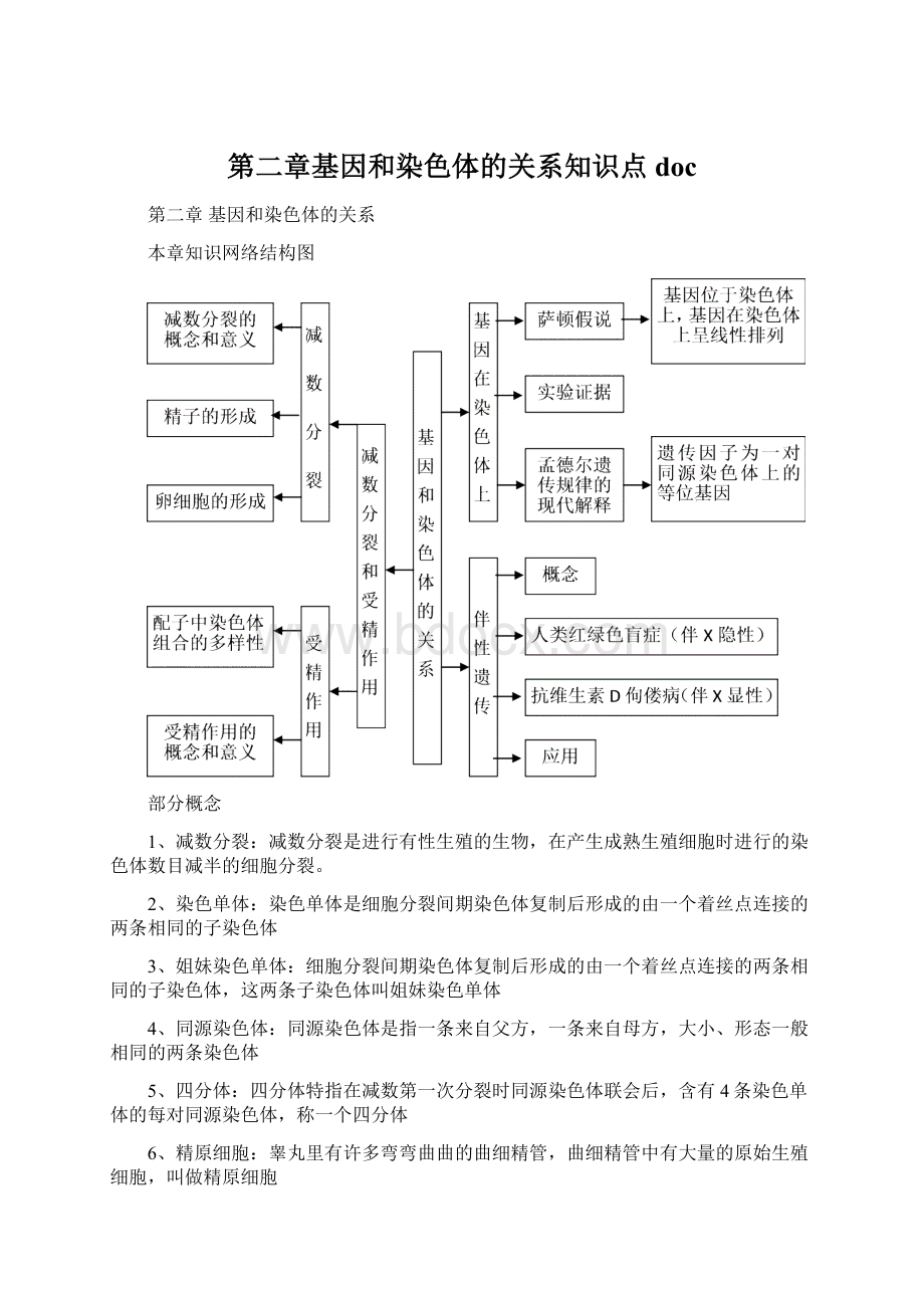 第二章基因和染色体的关系知识点doc文档格式.docx_第1页