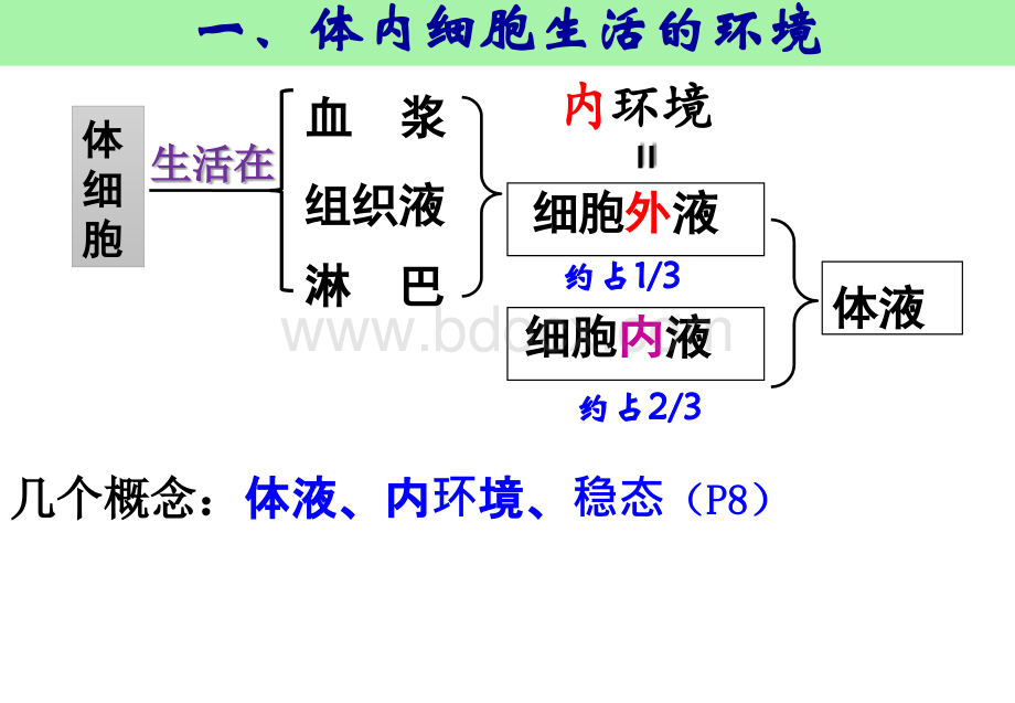 一轮复习内环境稳态公开课.ppt_第1页