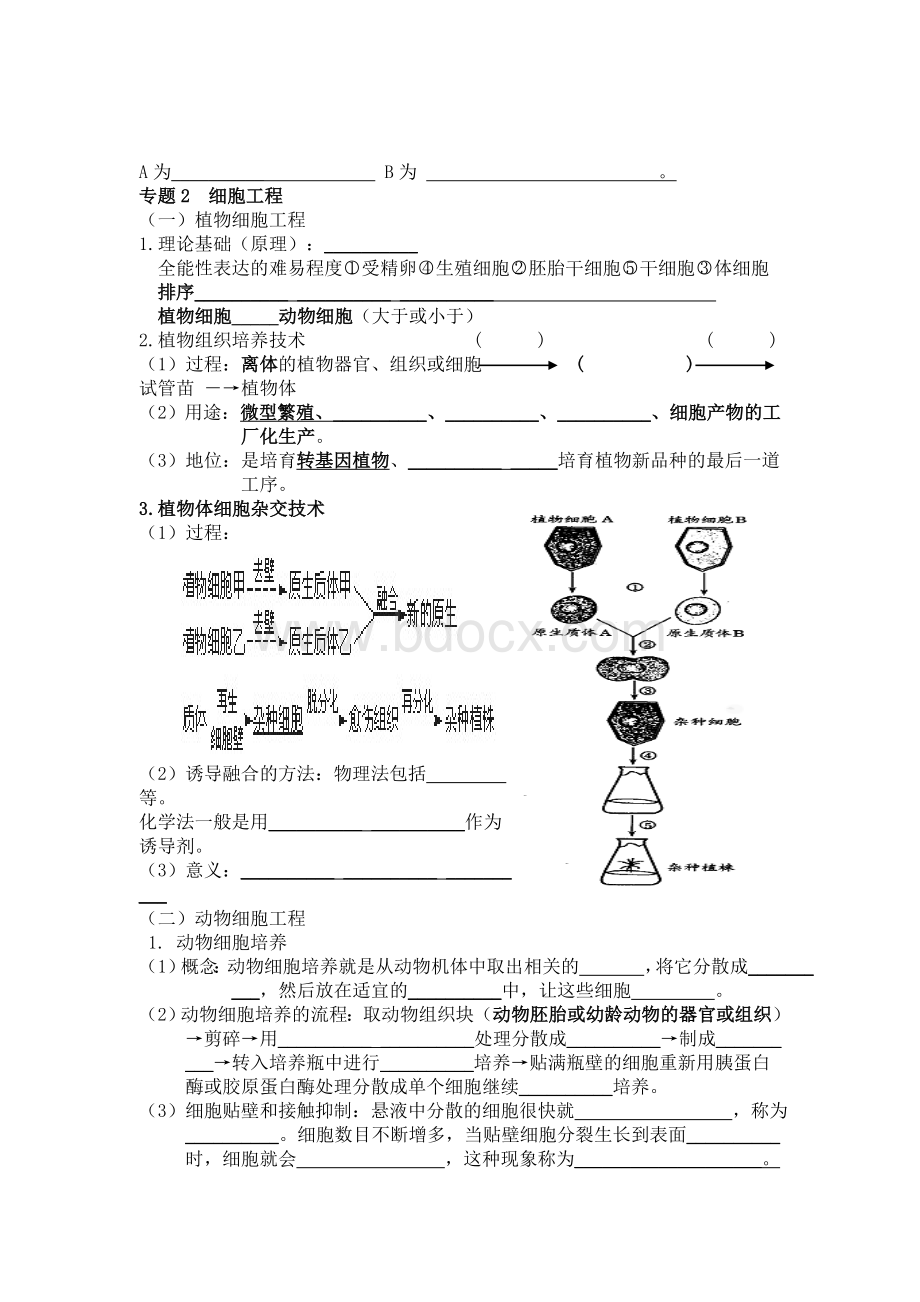 高中生物选修三必考、必背知识点(填空版).doc_第3页