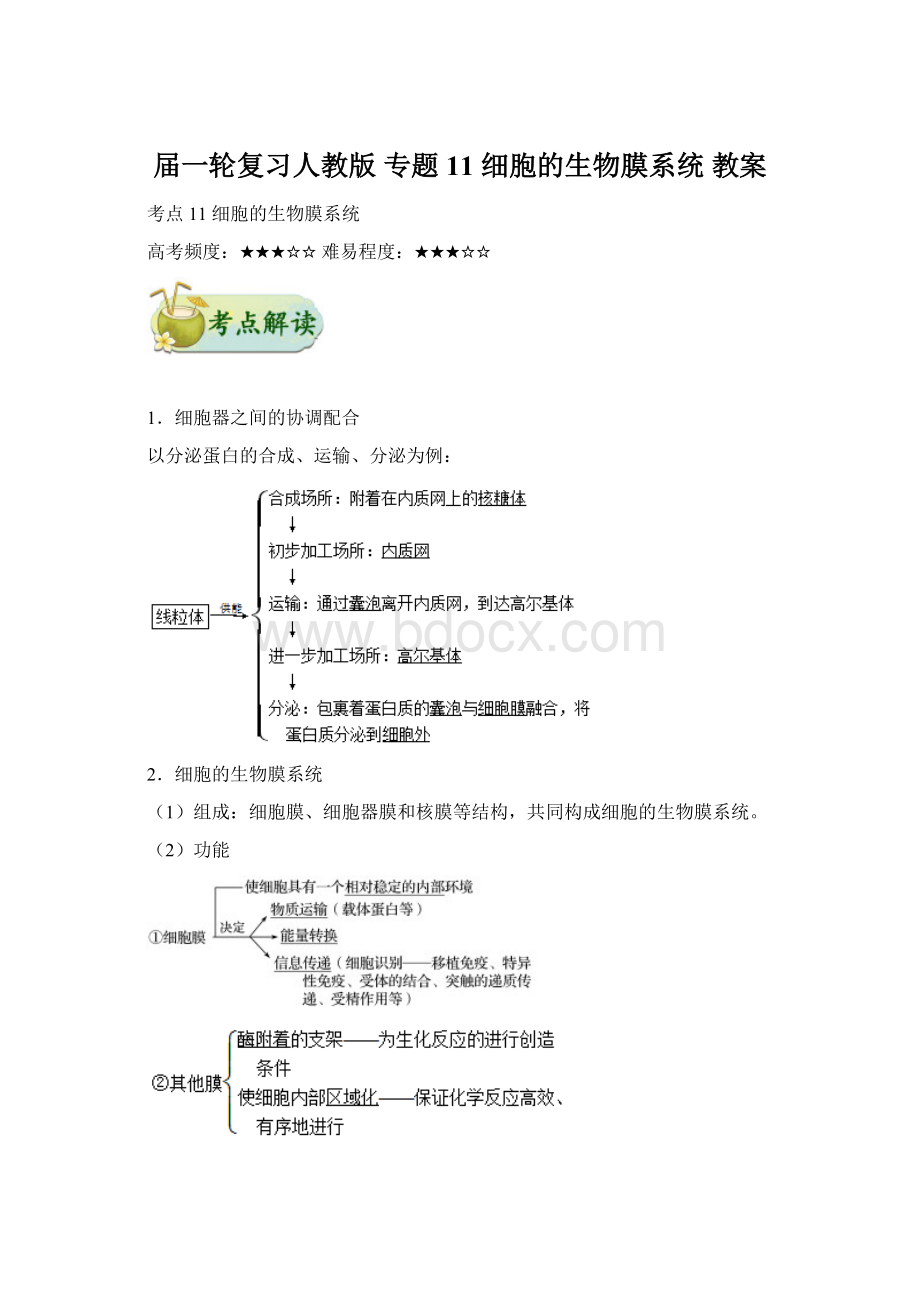 届一轮复习人教版 专题11 细胞的生物膜系统 教案.docx_第1页