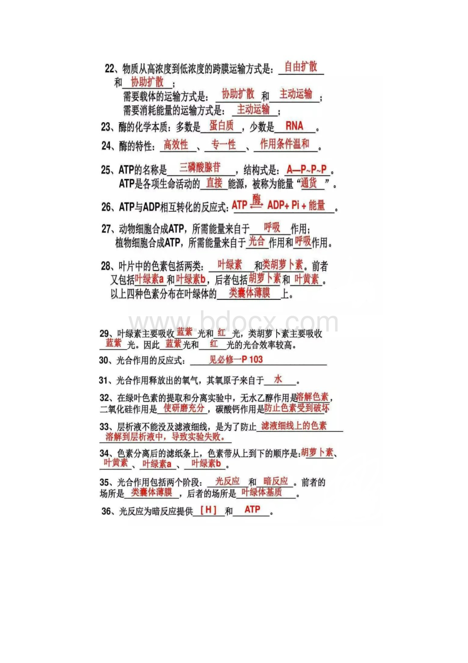 高中生物常考知识点填空Word格式文档下载.docx_第3页