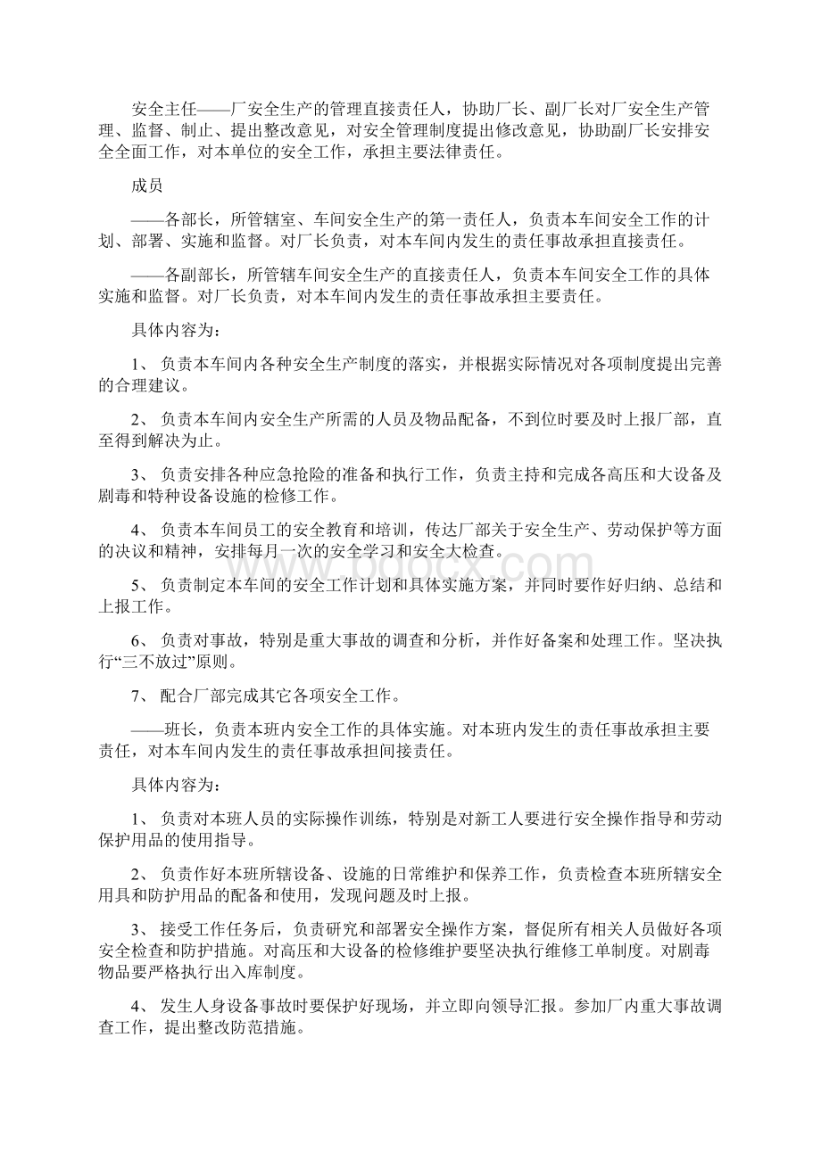 安全管理架构及职责推荐文档文档格式.docx_第2页