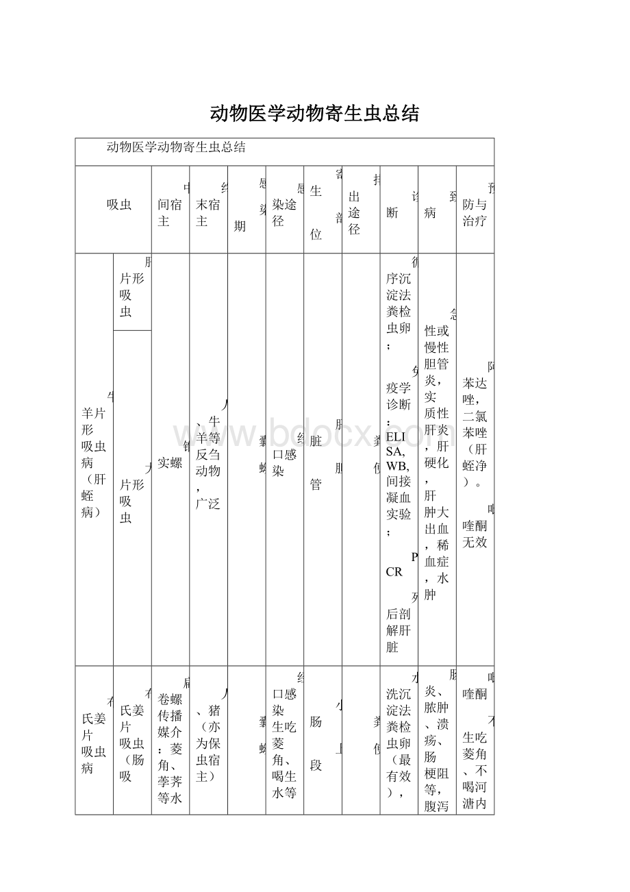 动物医学动物寄生虫总结文档格式.docx