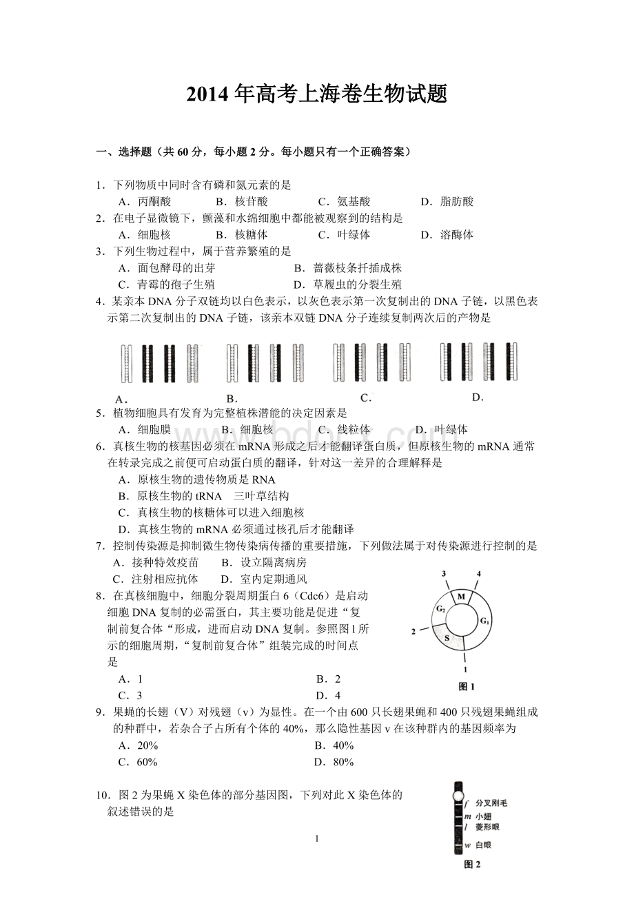 高考上海卷生物试题.doc