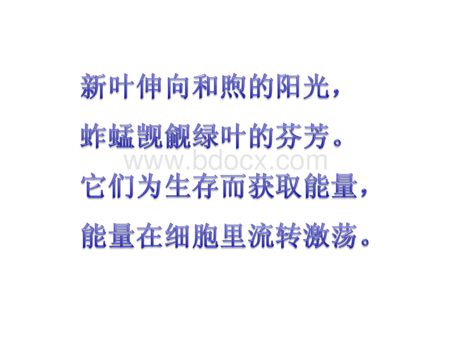 降低化学反应活化能的酶上课课件.ppt_第2页