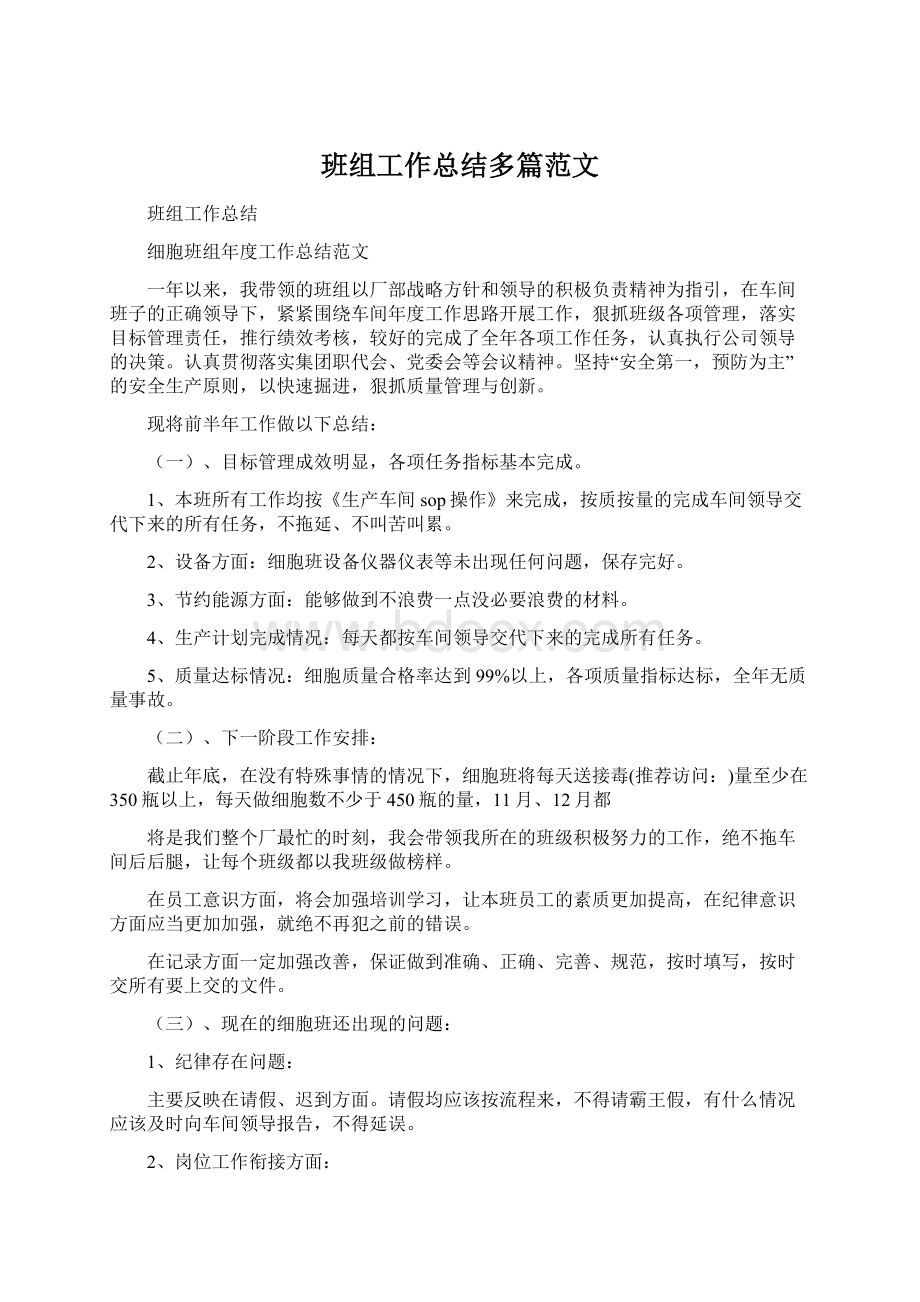 班组工作总结多篇范文文档格式.docx_第1页