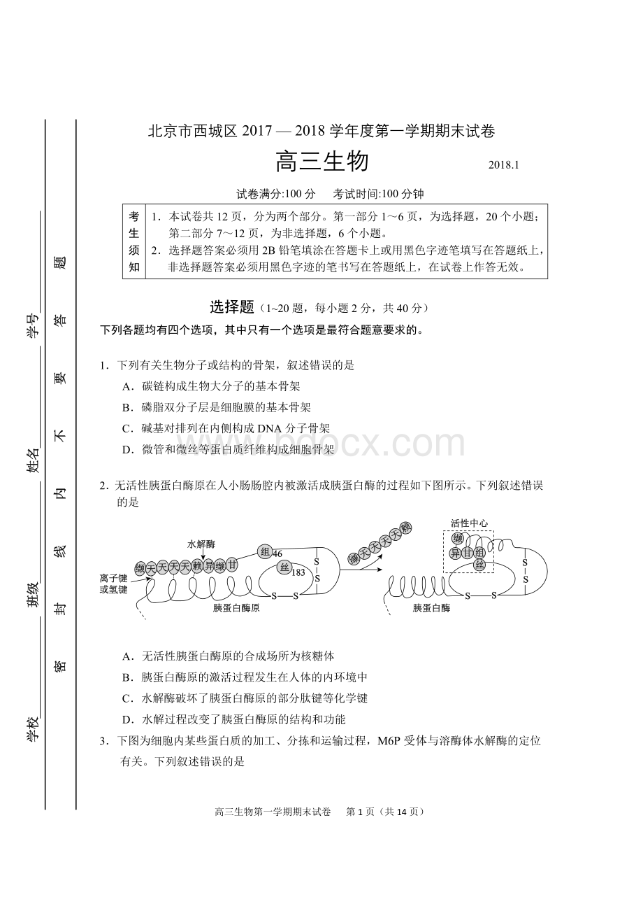 第一学期西城区高三期末生物试题含答案.doc_第1页