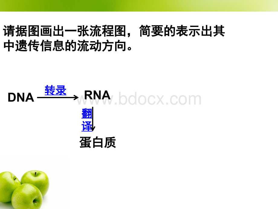 基因对性状的控制PPT文件格式下载.ppt_第2页