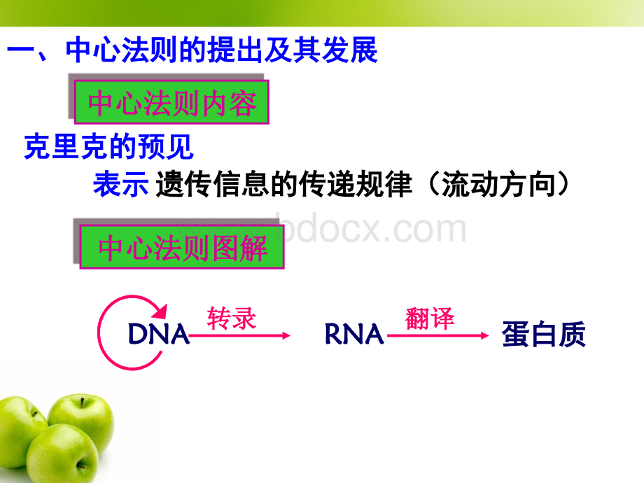 基因对性状的控制PPT文件格式下载.ppt_第3页