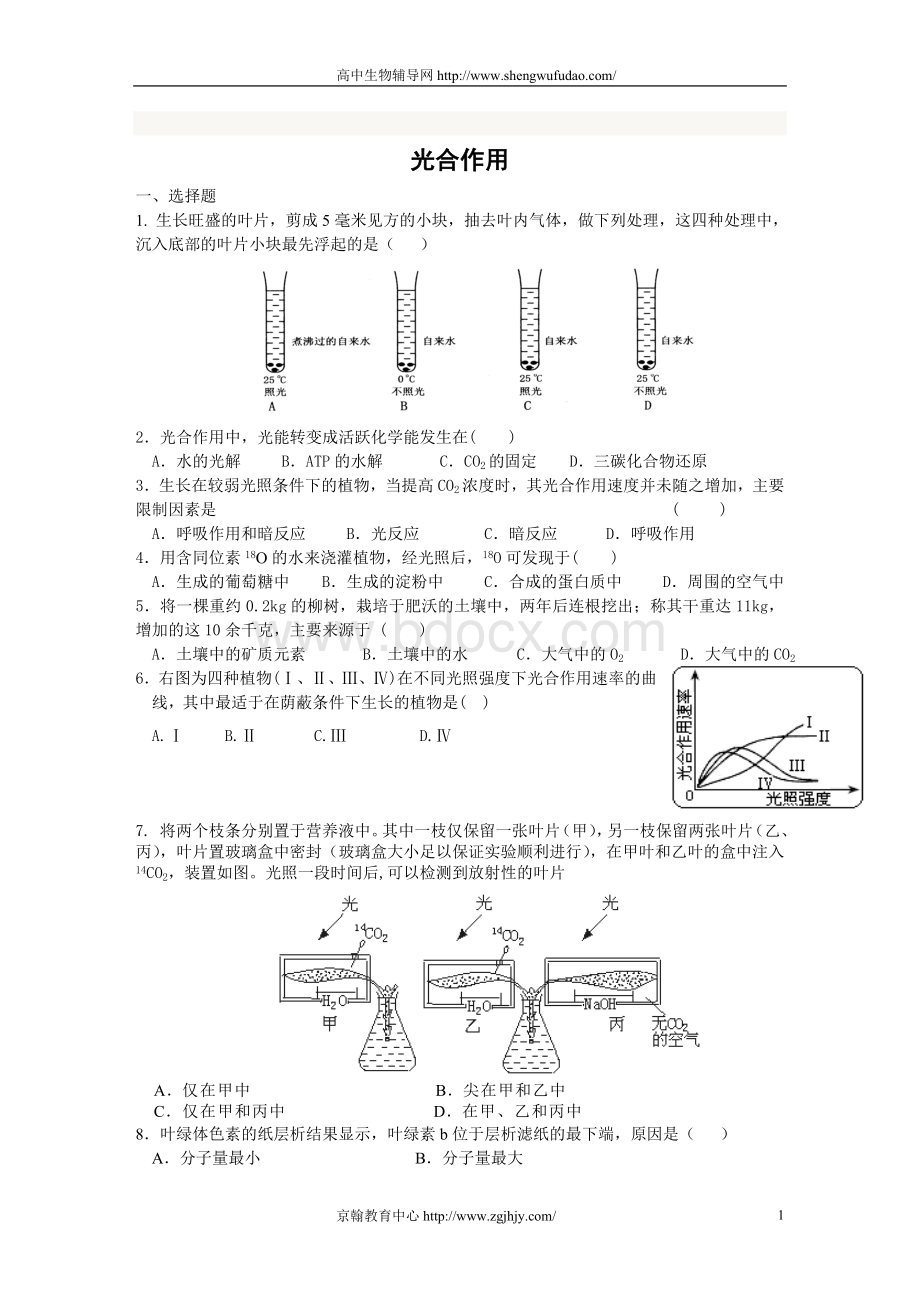 高三生物光合作用练习题及答案Word文件下载.doc