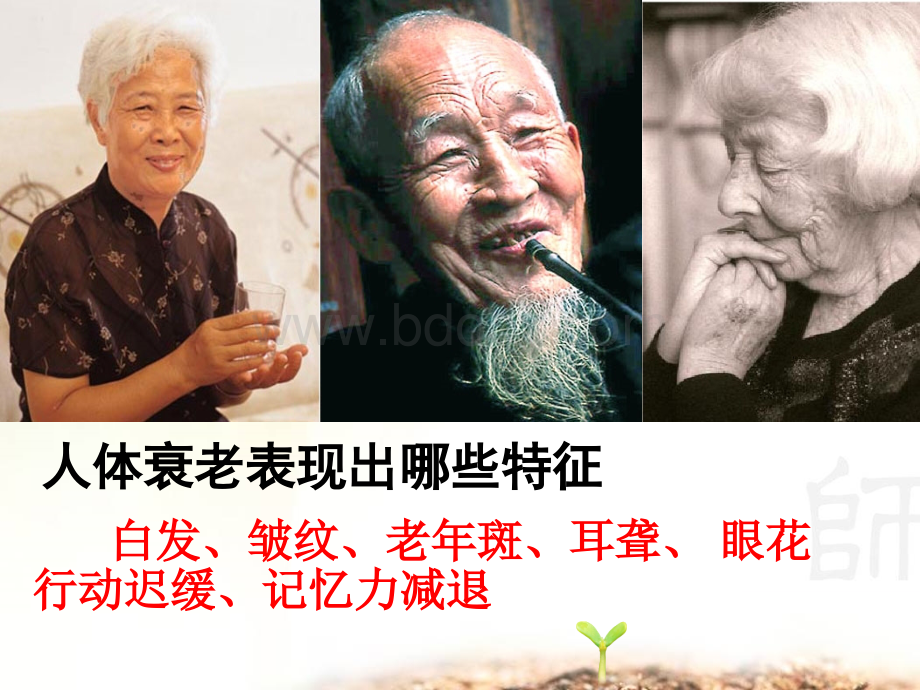 细胞的衰老癌变PPT课件下载推荐.ppt_第2页