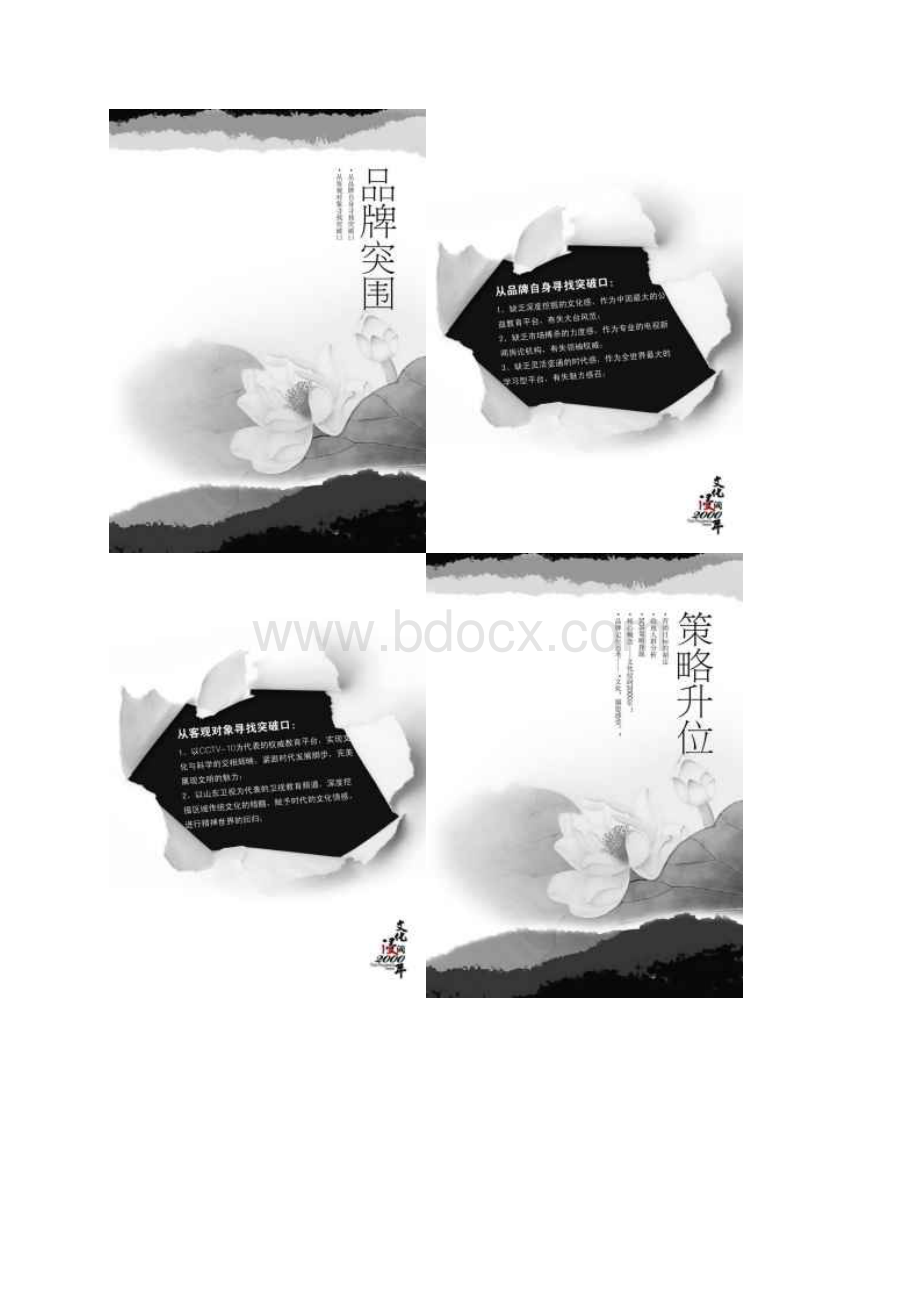 最新完美版广告策划案例《文化浸润中国教育电视台形象推广策划案》.docx_第2页