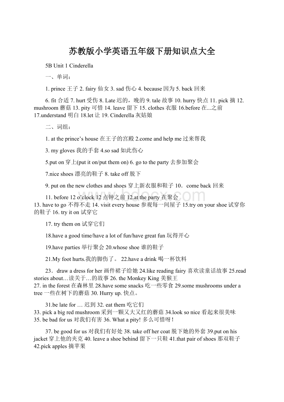 苏教版小学英语五年级下册知识点大全.docx