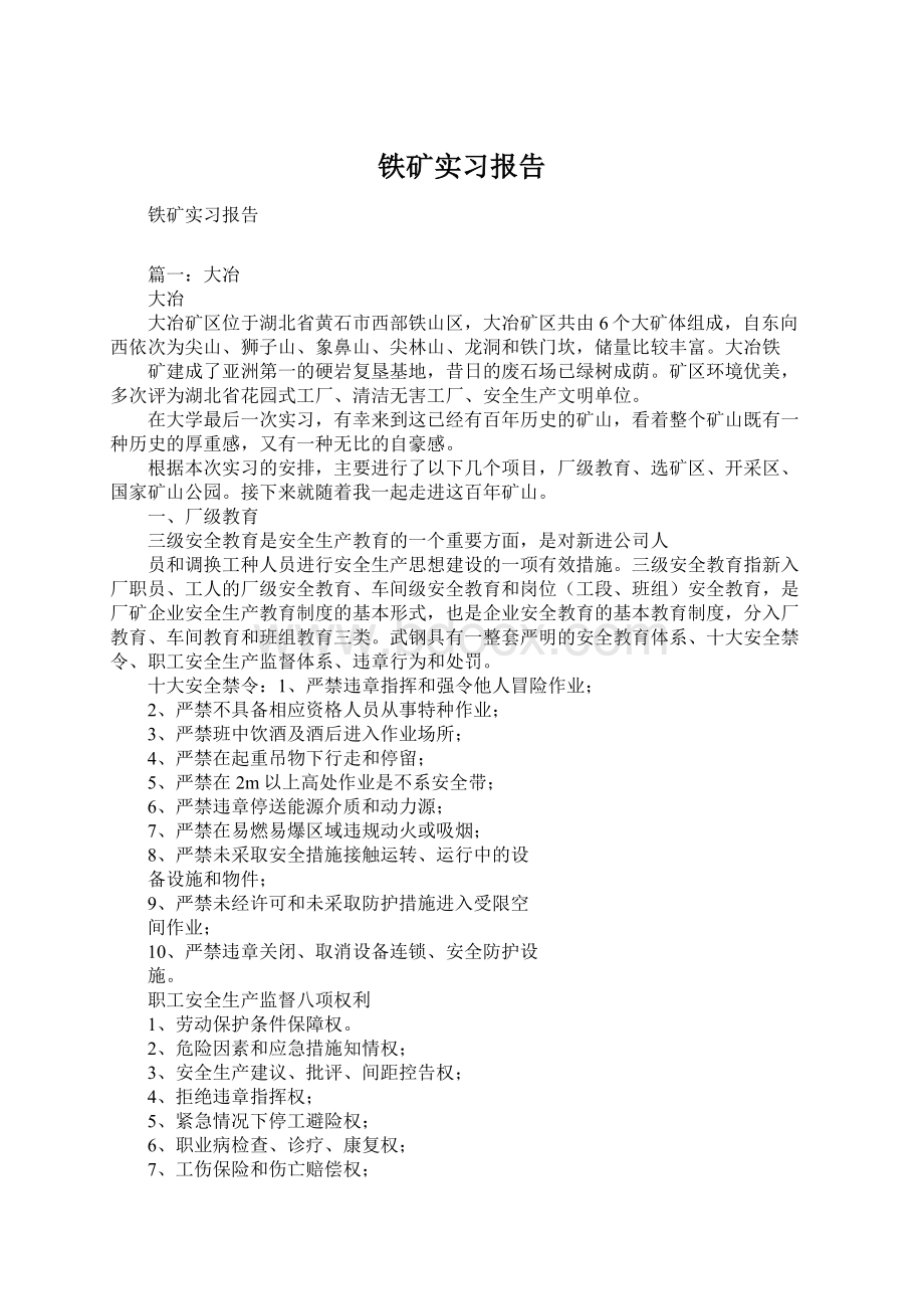 铁矿实习报告文档格式.docx_第1页