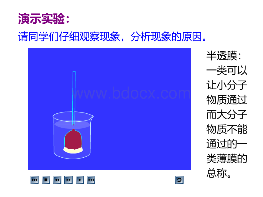 《物质跨膜运输的实例》公开课PPT资料.ppt_第3页